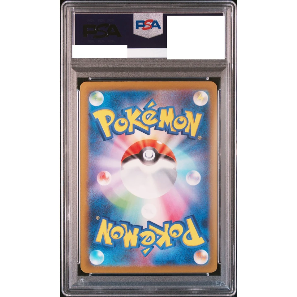 Raichu R: Master Ball Mirror — back