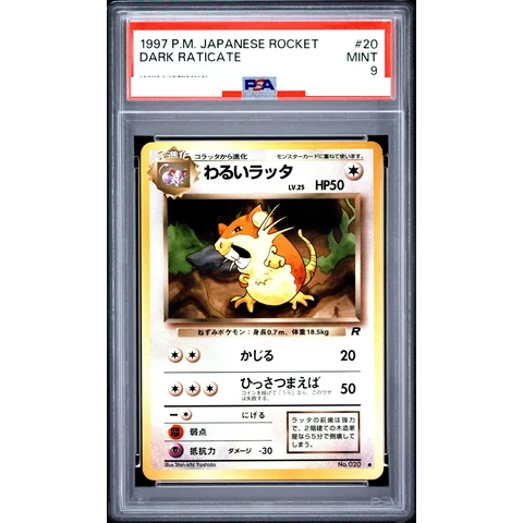 Dark Raticate : Old Back — front