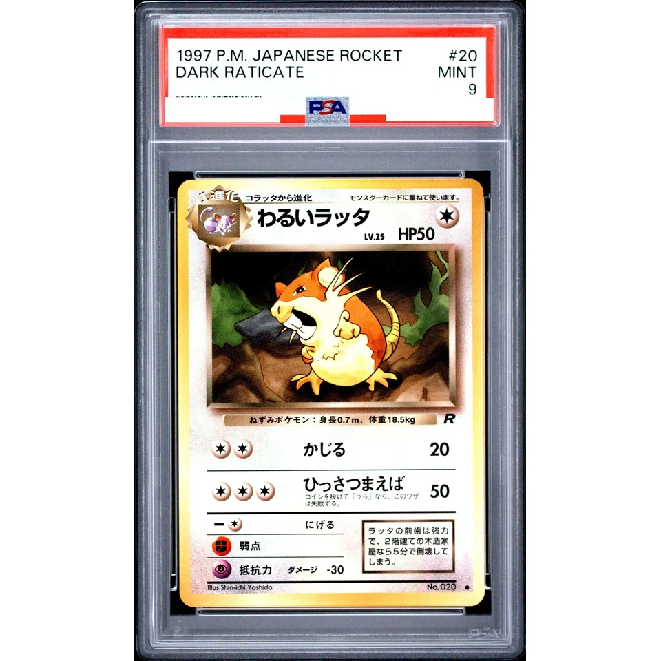 Dark Raticate : Old Back — front