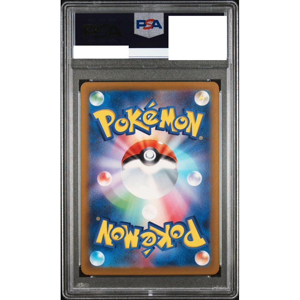 Morpeko AR — back