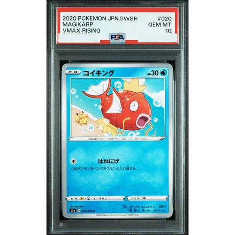 Magikarp C — front
