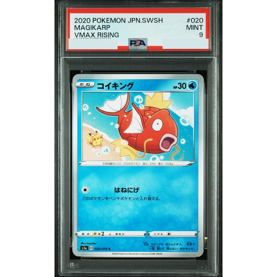 Magikarp C — front