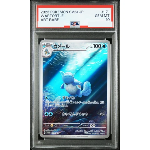 Wartortle AR — front