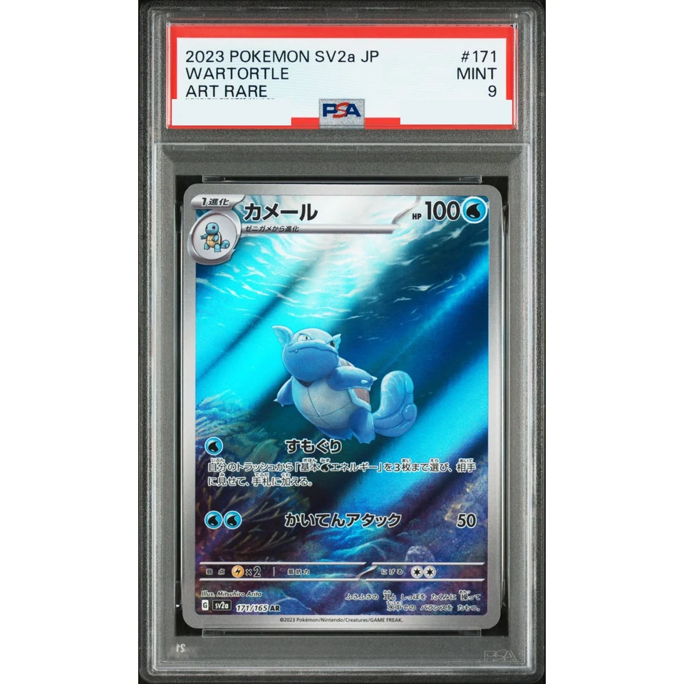 Wartortle AR — front