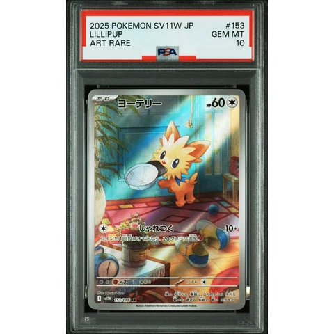 Lillipup AR — front