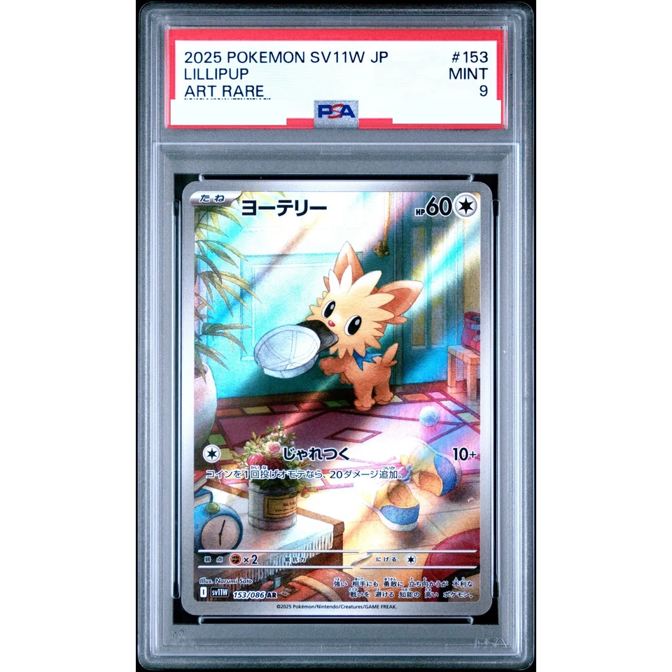 Lillipup AR — front