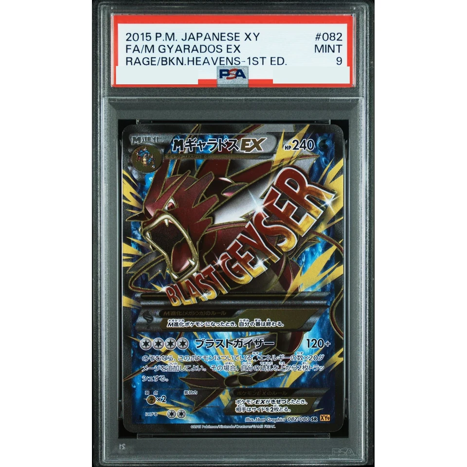 M Gyarados EX SR :1ED — front