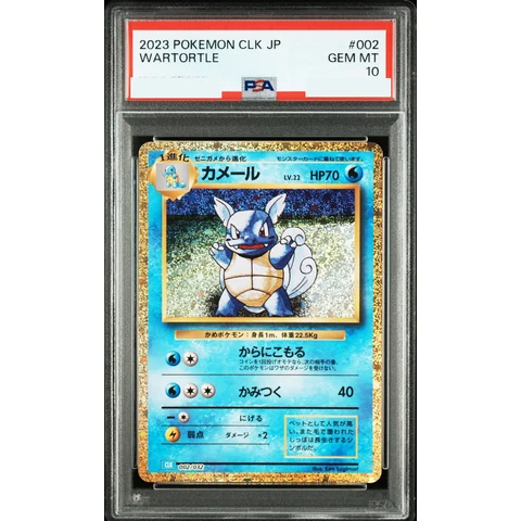 Wartortle — front