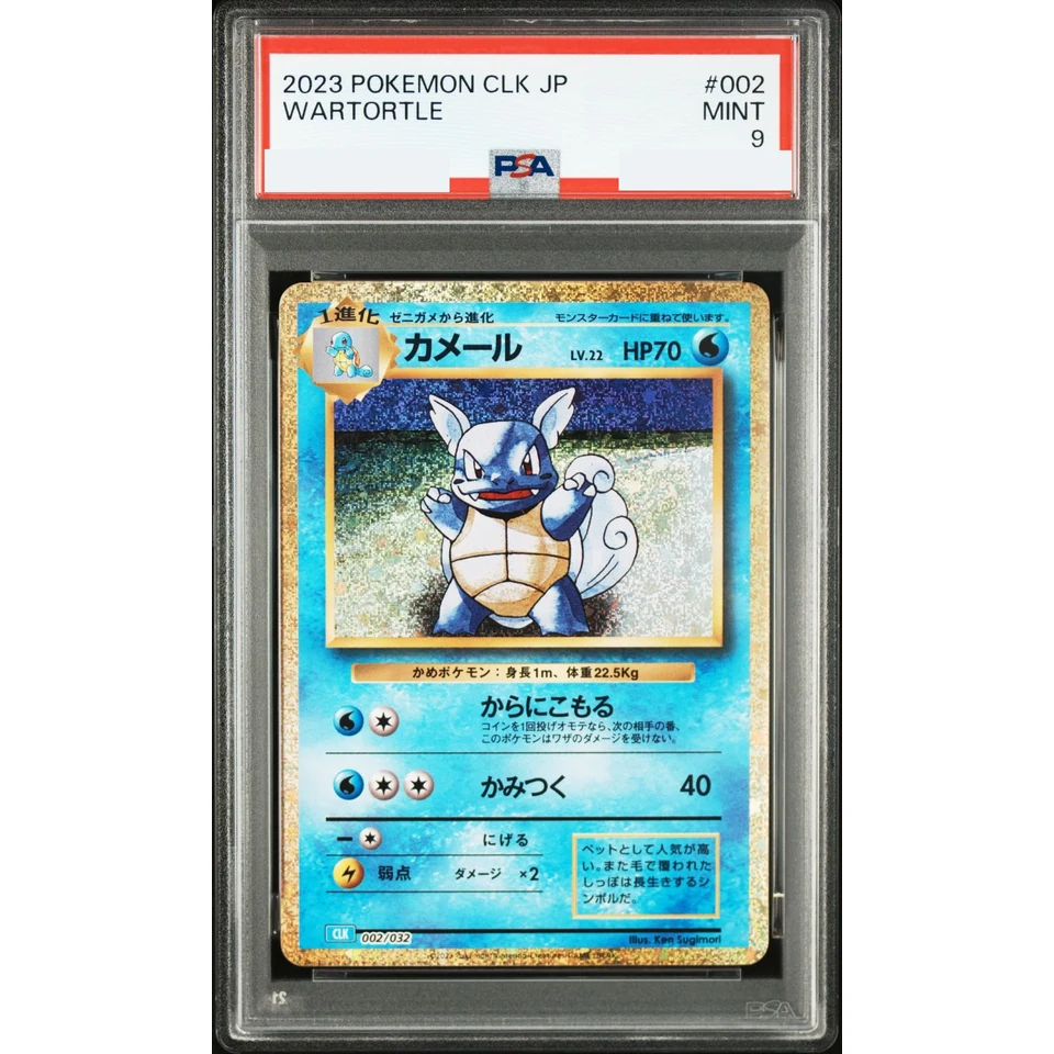 Wartortle — front