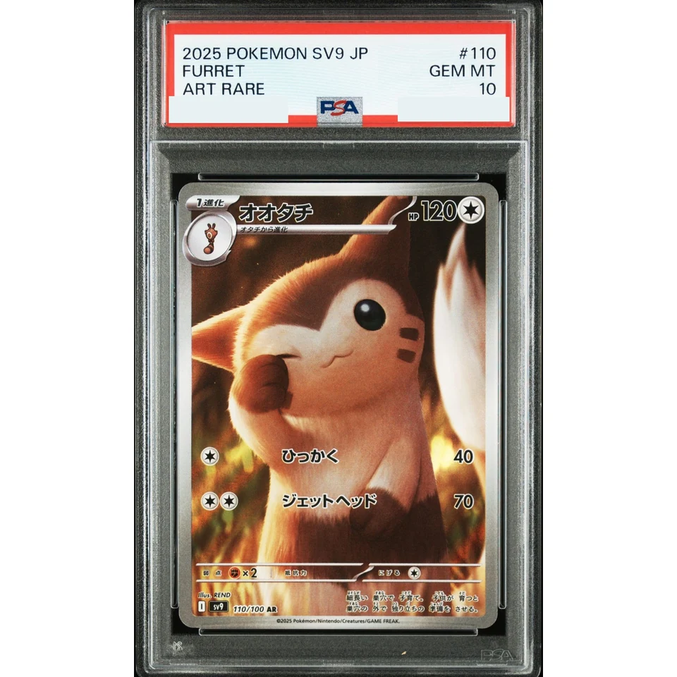 Furret AR — front