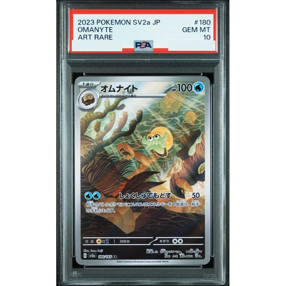 Omanyte AR — front