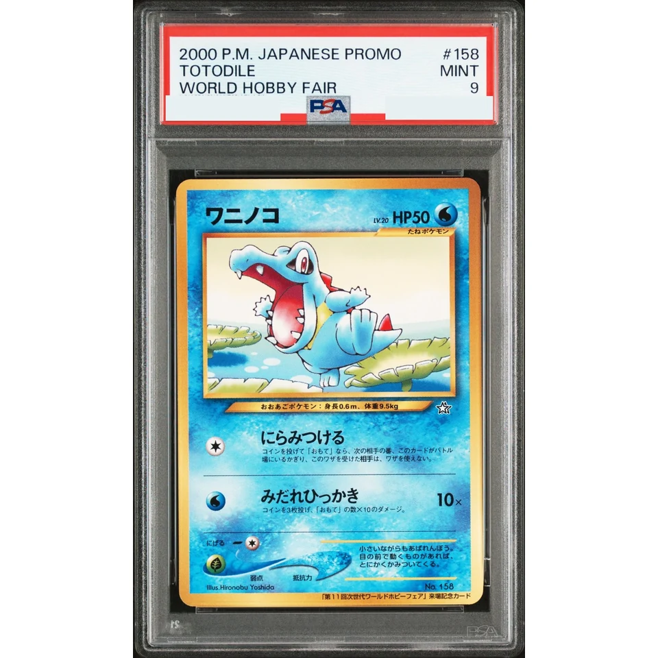 Totodile : Old Back — front