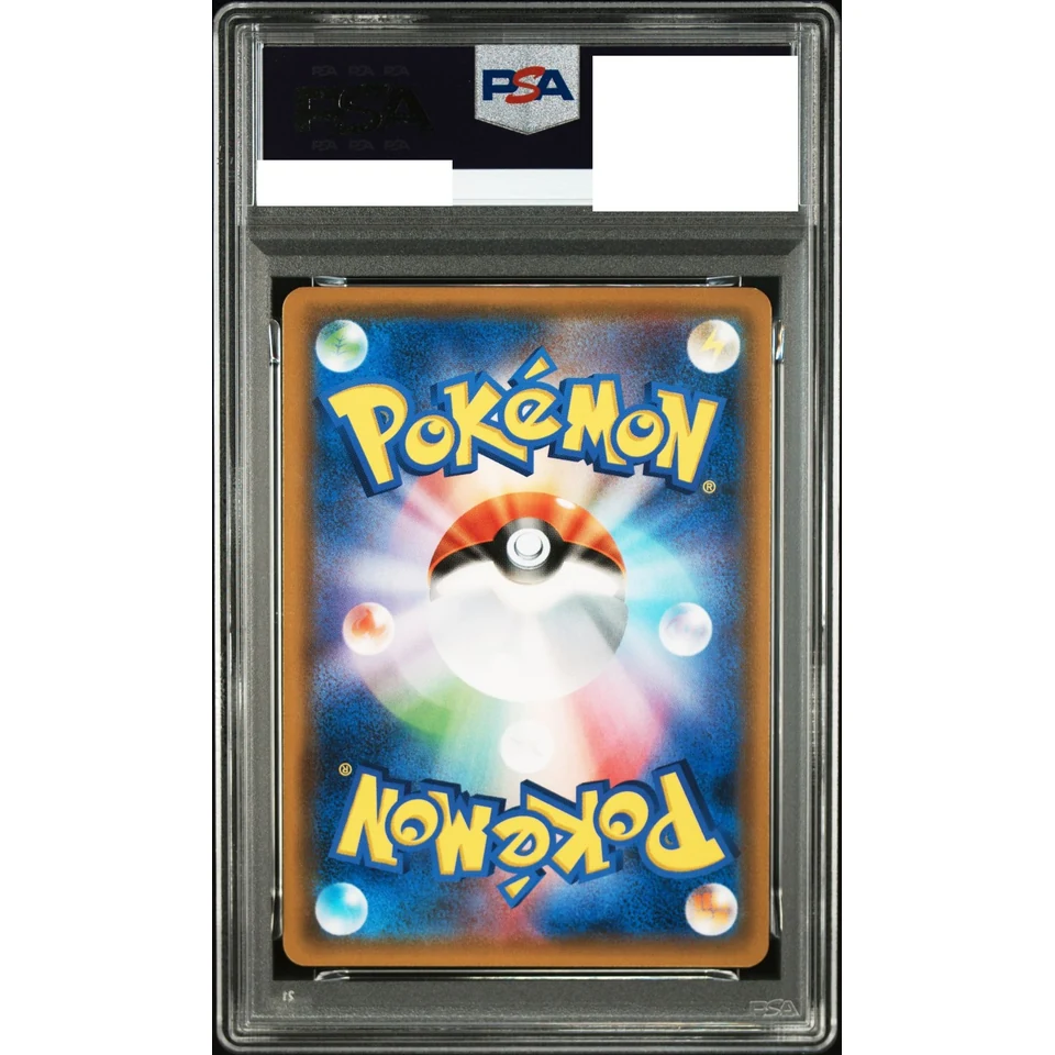 Yveltal P — back