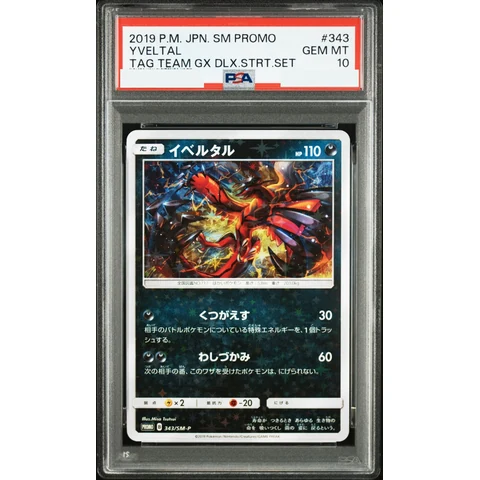 Yveltal P — front