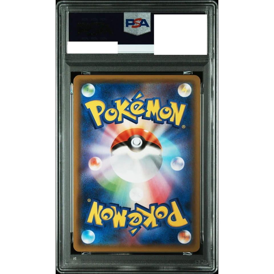 Yveltal P — back