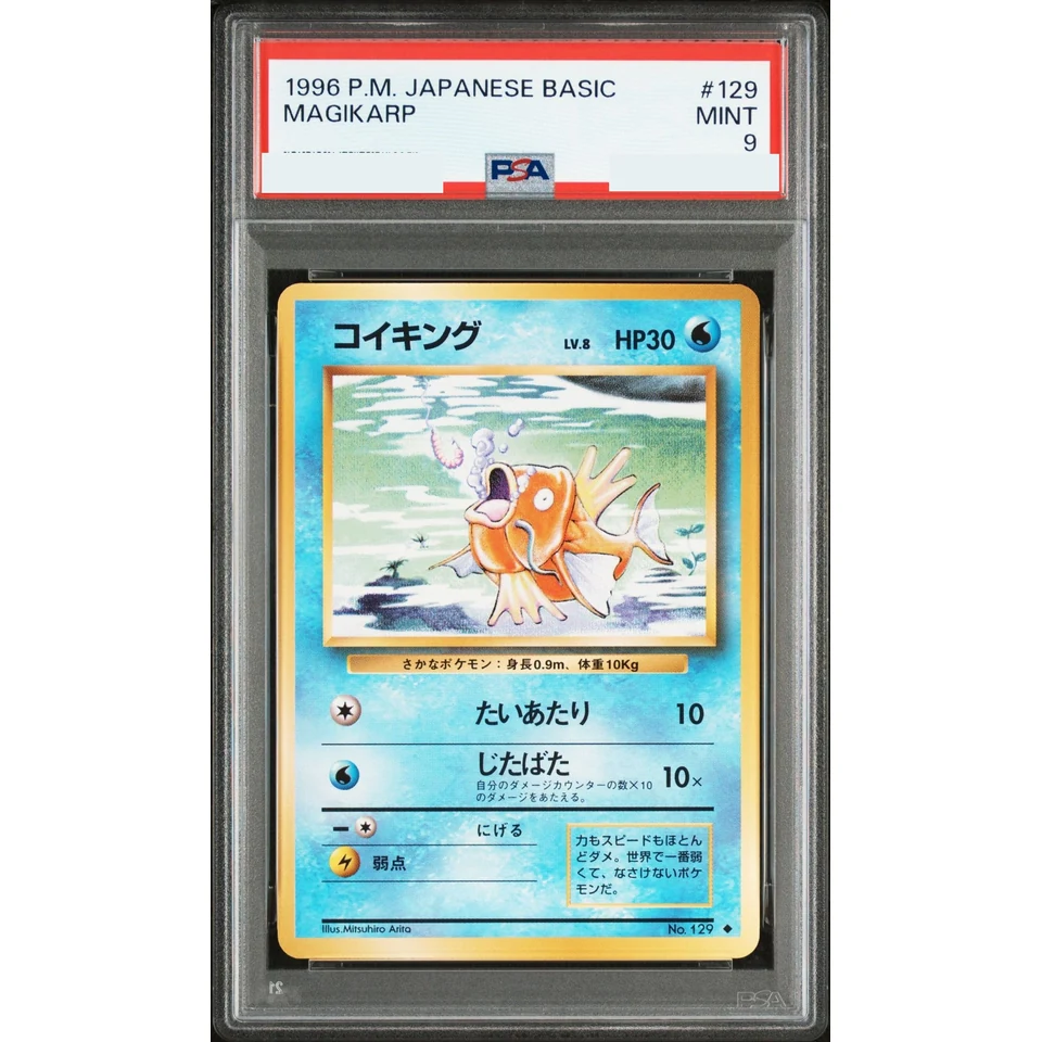 Magikarp : Old Back — front