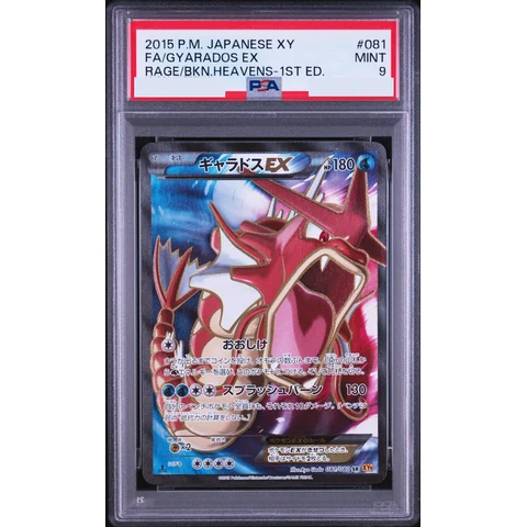 Gyarados EX SR :1ED — front
