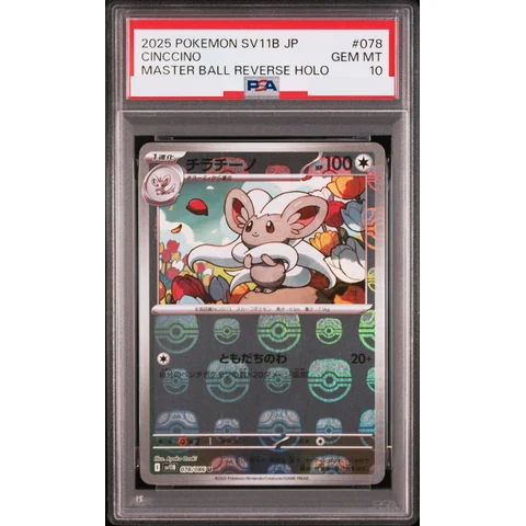 Cinccino U :Master Ball Mirror — front