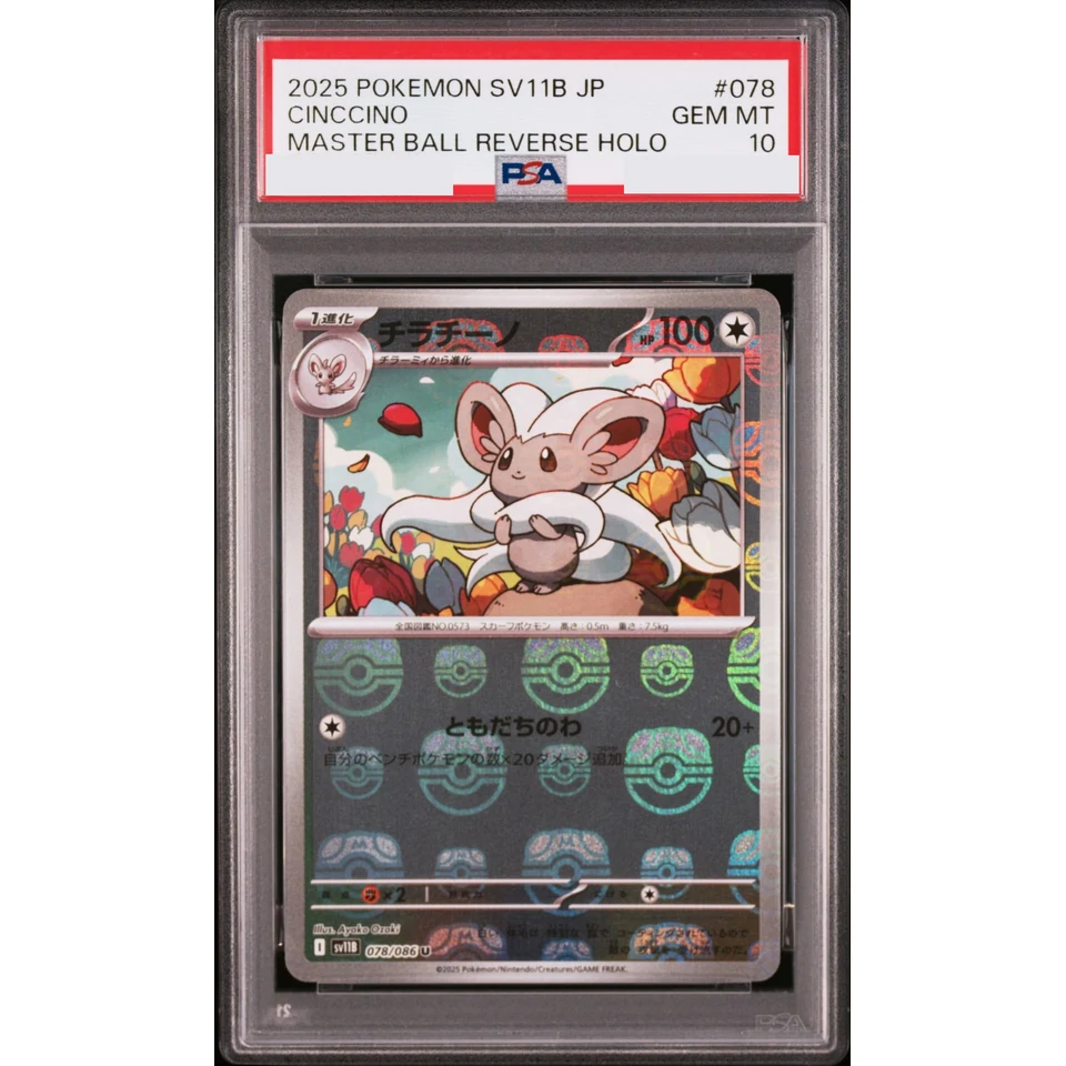 Cinccino U :Master Ball Mirror — front