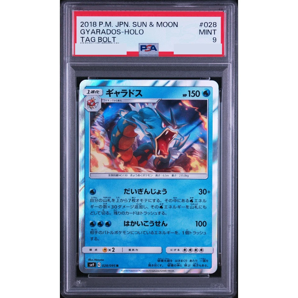 Gyarados R — front