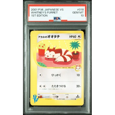 Whitney's Furret :1ED — front