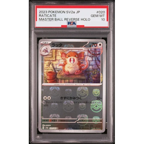 Raticate U: Master Ball Mirror — front