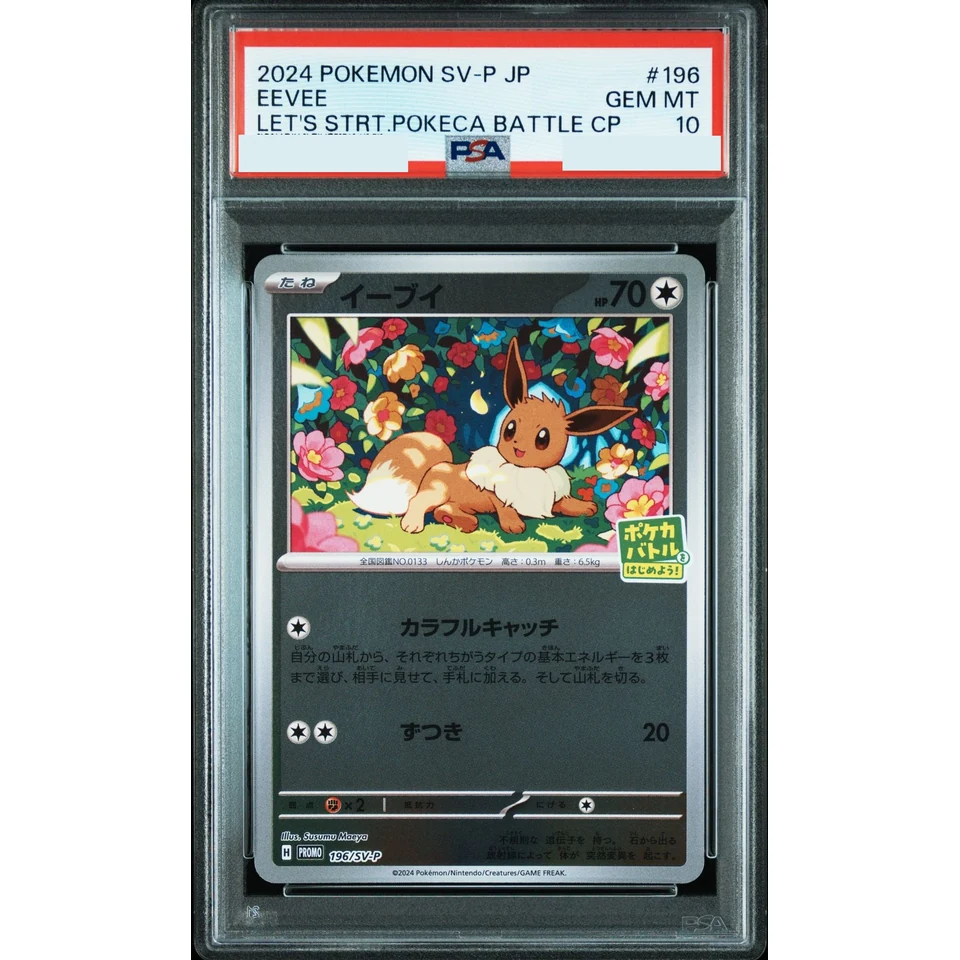 Eevee P — front