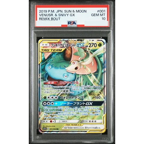 Venusaur & Snivy GX RR — front