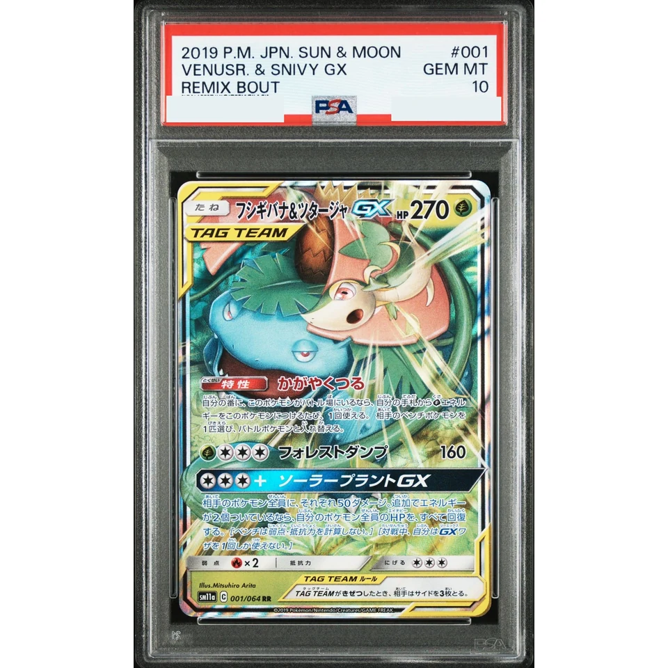 Venusaur & Snivy GX RR — front