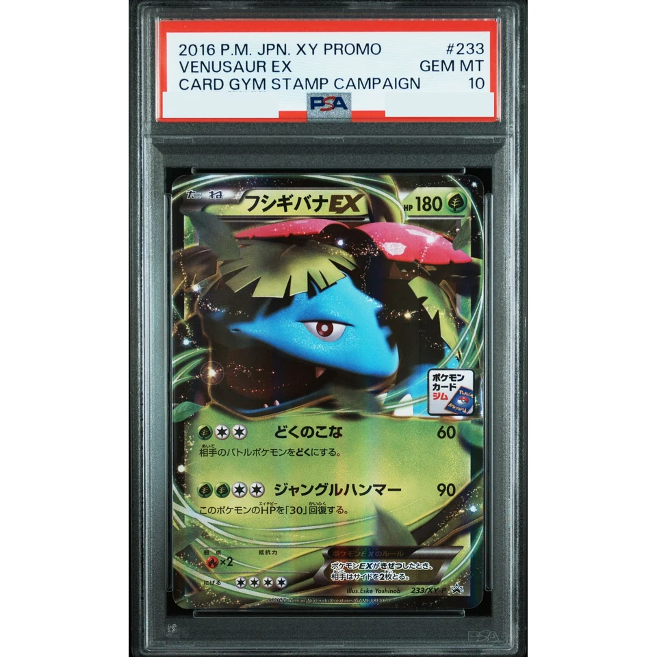 Venusaur EX P — front