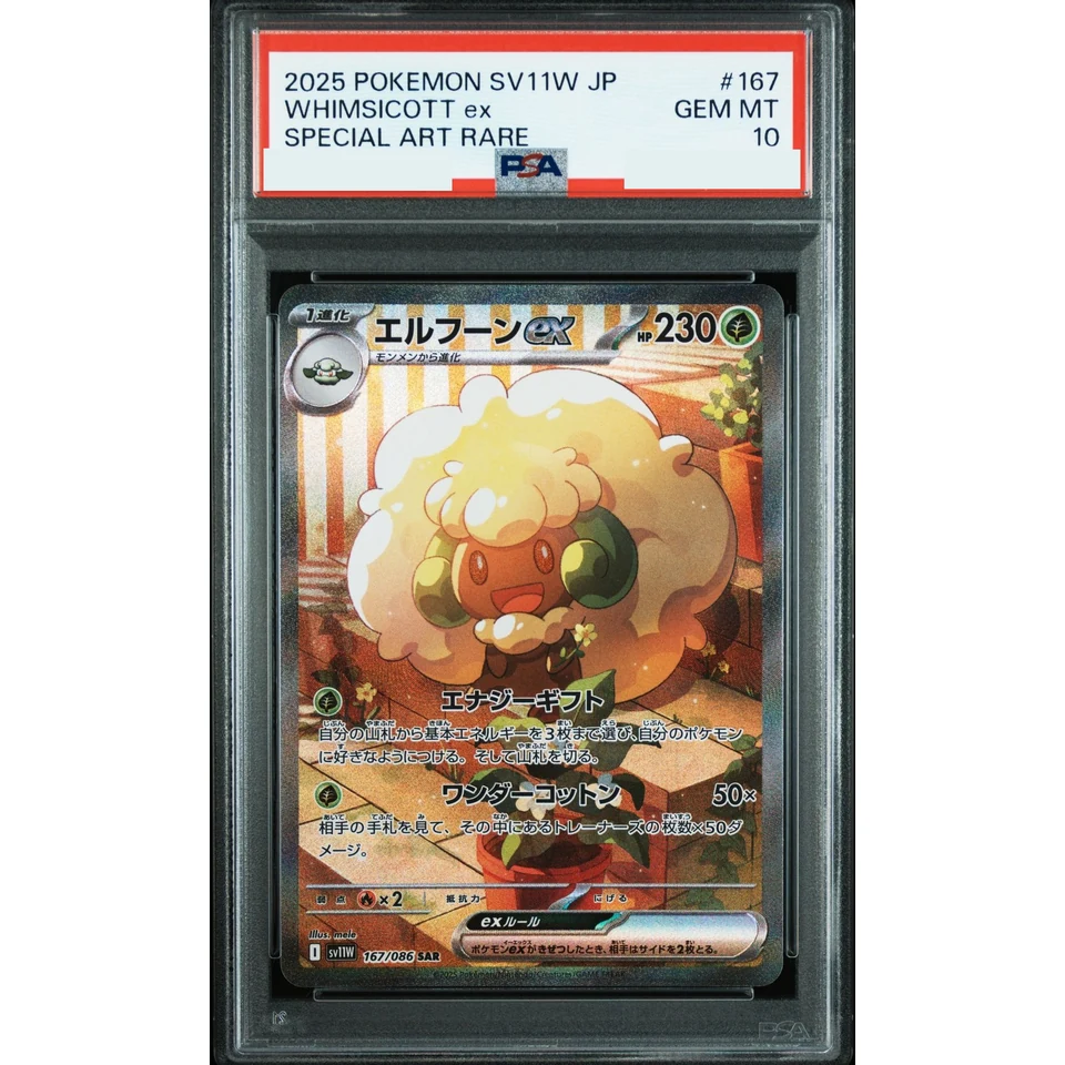 Whimsicott ex SAR — front