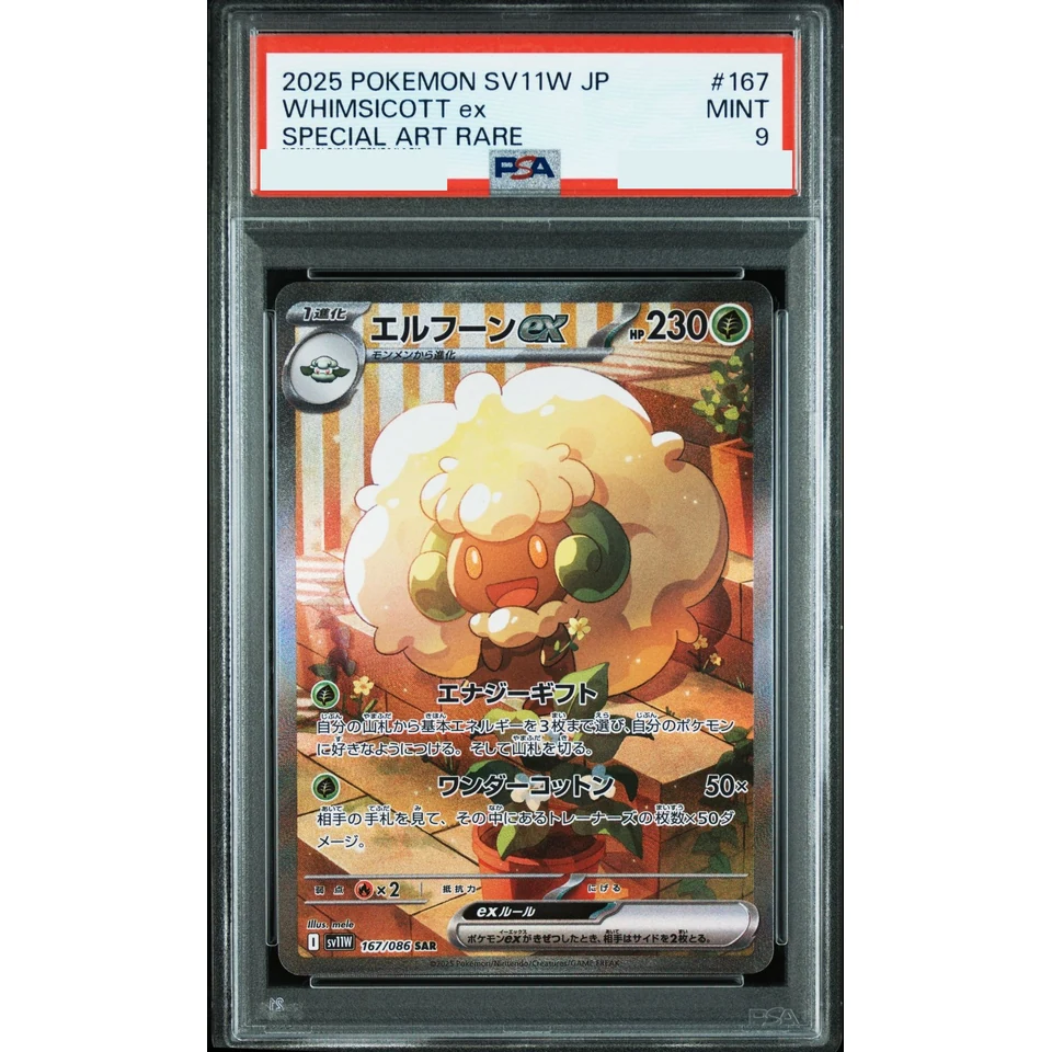 Whimsicott ex SAR — front