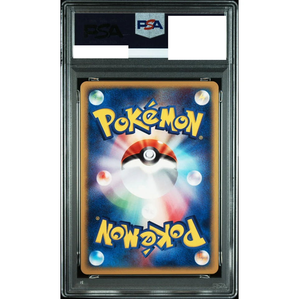 Phanpy :1ED — back