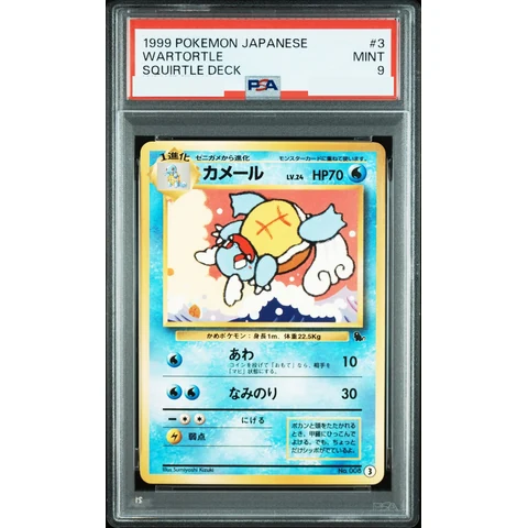 Wartortle : Old Back — front