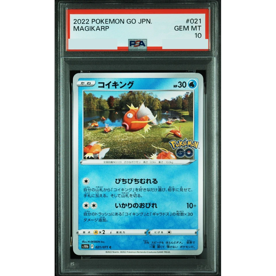 Magikarp C — front