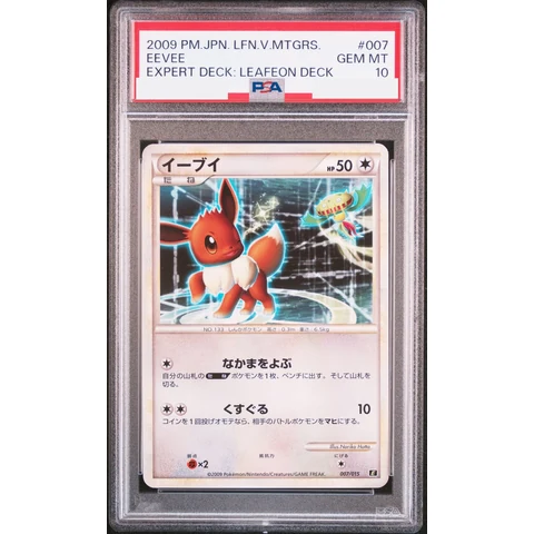 Eevee — front