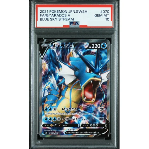 Gyarados V SR — front