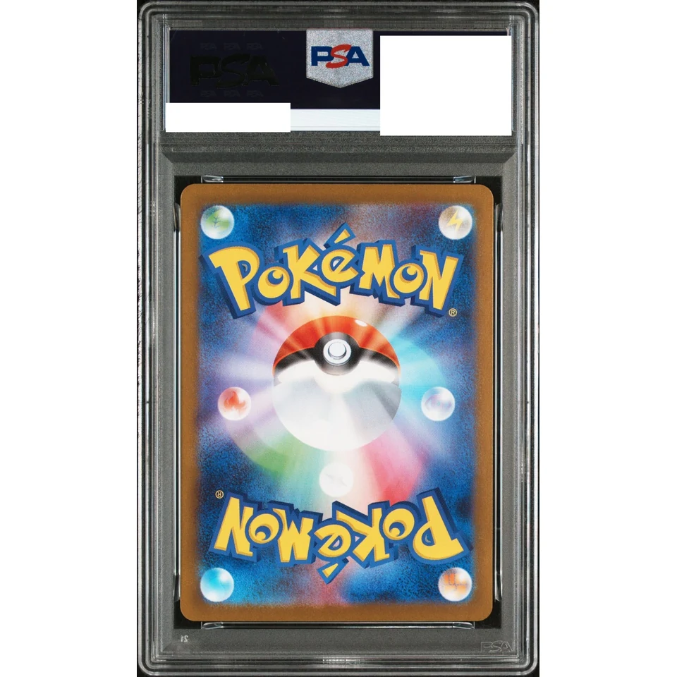 Sewaddle AR — back