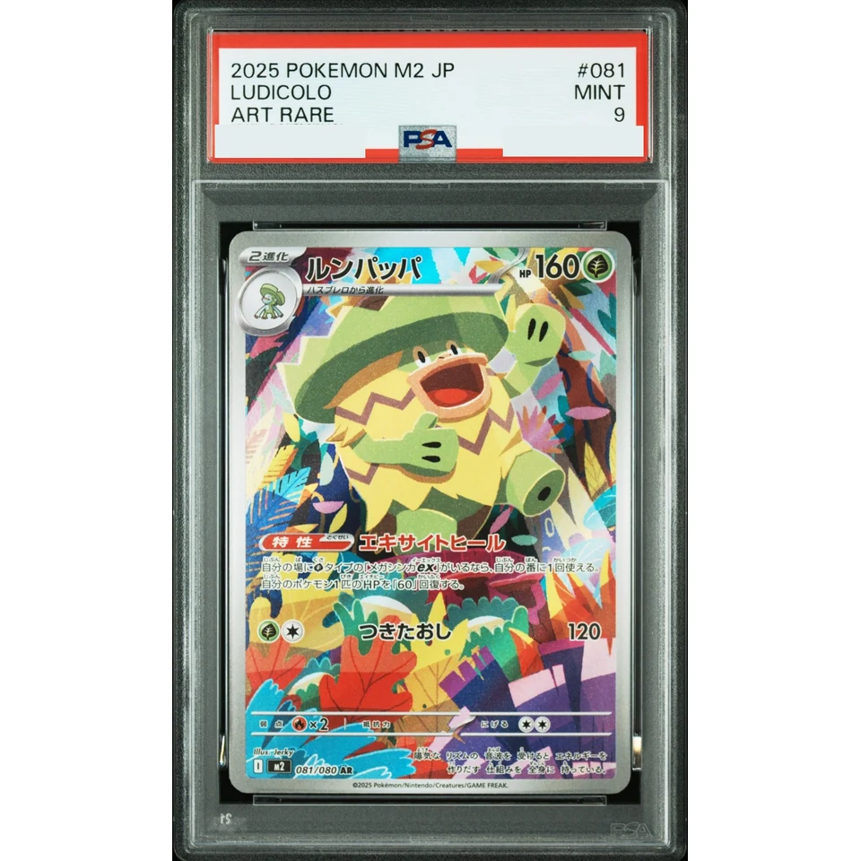 Ludicolo AR — front
