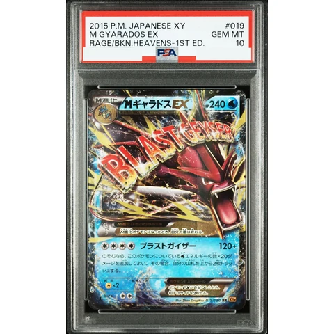 M Gyarados EX RR :1ED — front