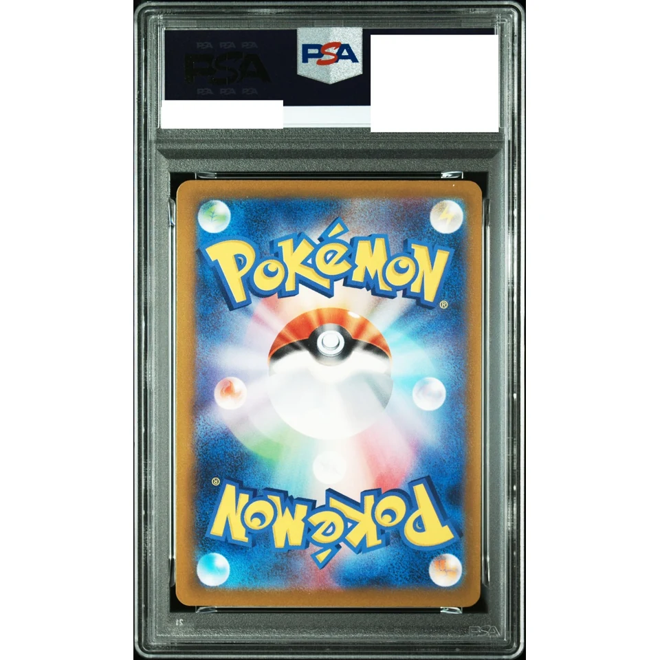 N's Zekrom AR — back