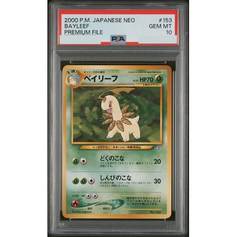 Bayleef : Old Back — front