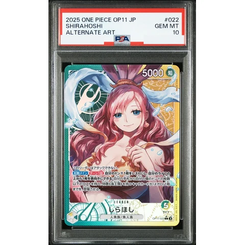 Shirahoshi L-P — front
