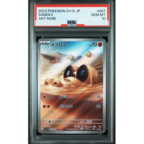 Sandile AR — front