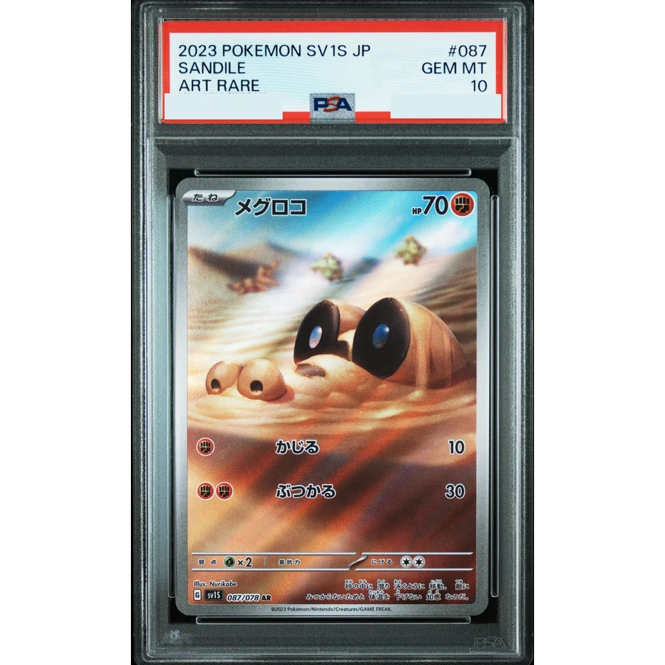 Sandile AR — front