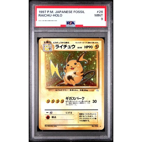 Raichu R: Old Back — front