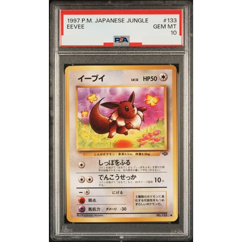 Eevee : Old Back — front