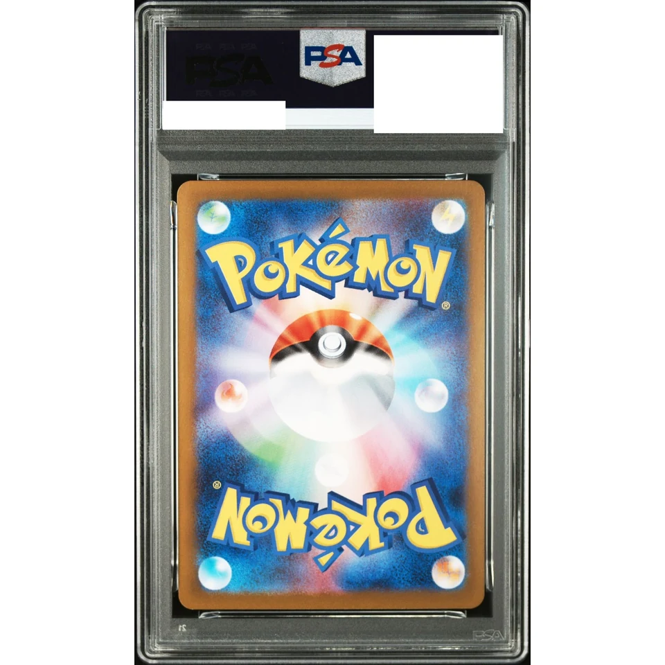 Ninjask AR — back