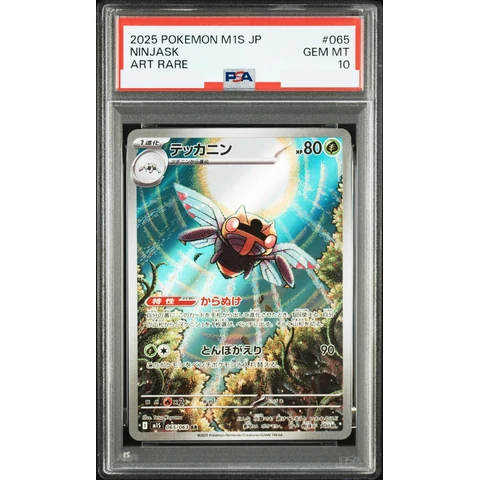 Ninjask AR — front