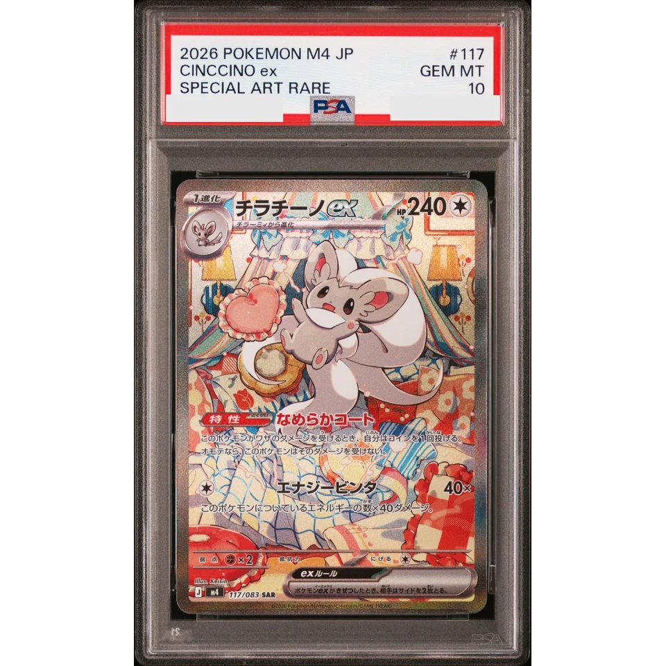 Cinccino ex SAR — front